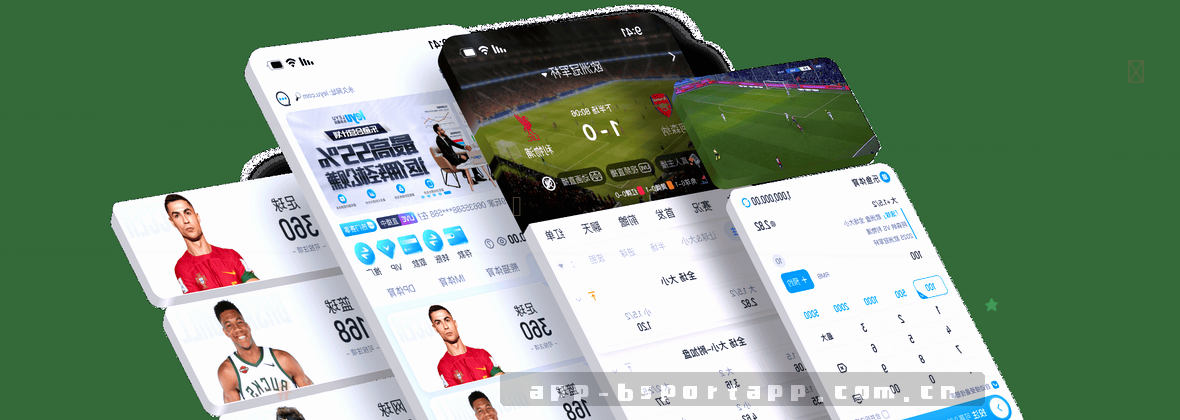 BSPORTAPP中国站官方登录与平台解析